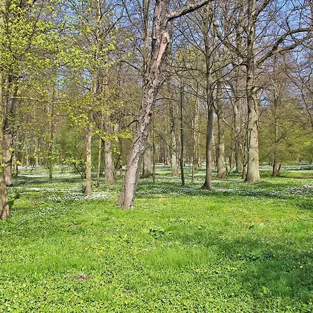 Ferienhaus Breege Rueg 1952 Holiday home *